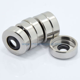 Selos do óleo personalizados de PTFE com alojamento de aço inoxidável do bordo duplo de PTFE para misturadores puty do pó