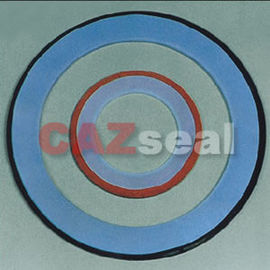 Envelope de PTFE Gasket