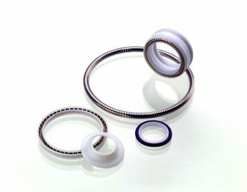O selo de PTFE, mola energizou o selo do Teflon, selo giratório do Teflon, selo estático de PTFE
